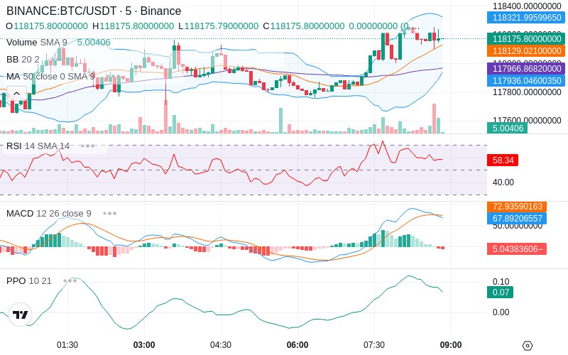 🚀 $TOMI SuperApp early access!