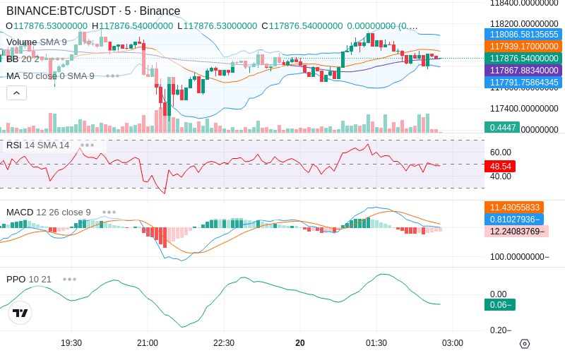 🚀 $TOMI SuperApp early access!