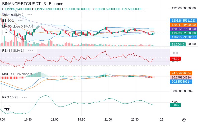 🚀 $TOMI SuperApp early access!