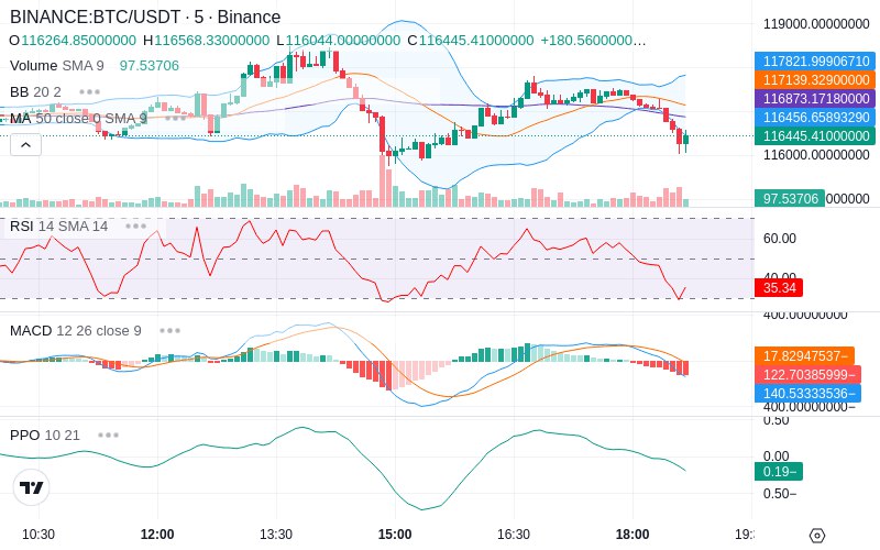 🚀 $TOMI SuperApp early access!