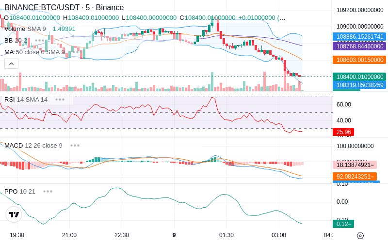 🚀 $TOMI SuperApp early access!