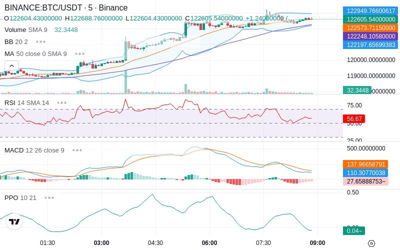 🚀 $TOMI SuperApp early access!