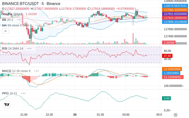 🚀 $TOMI SuperApp early access!