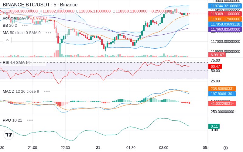 🚀 $TOMI SuperApp early access!