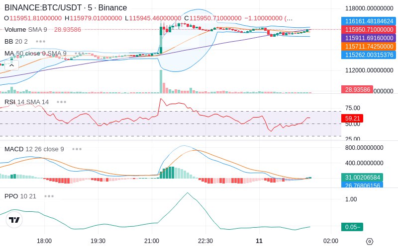 🚀 $TOMI SuperApp early access!