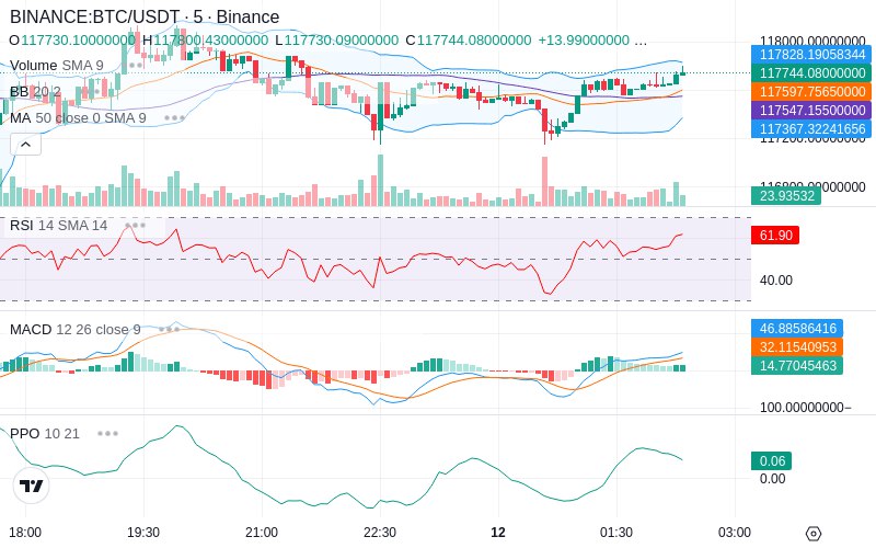 🚀 $TOMI SuperApp early access!