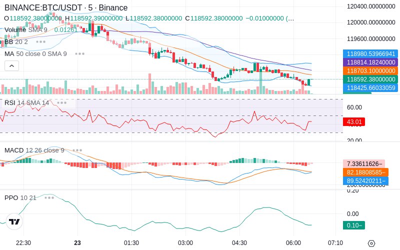 🚀 $TOMI SuperApp early access!