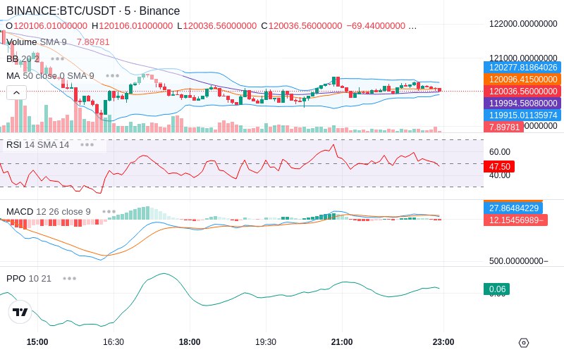 🚀 $TOMI SuperApp early access!