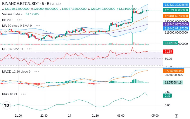 🚀 $TOMI SuperApp early access!