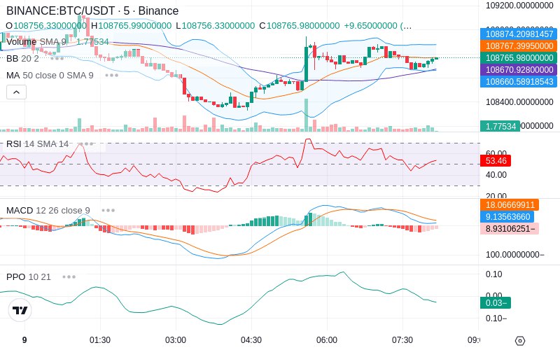 🚀 $TOMI SuperApp early access!