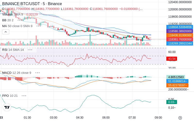🚀 $TOMI SuperApp early access!