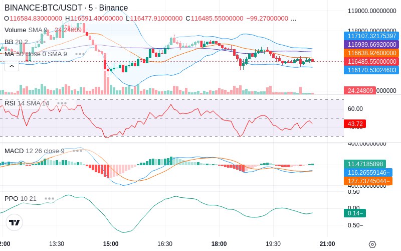 🚀 $TOMI SuperApp early access!