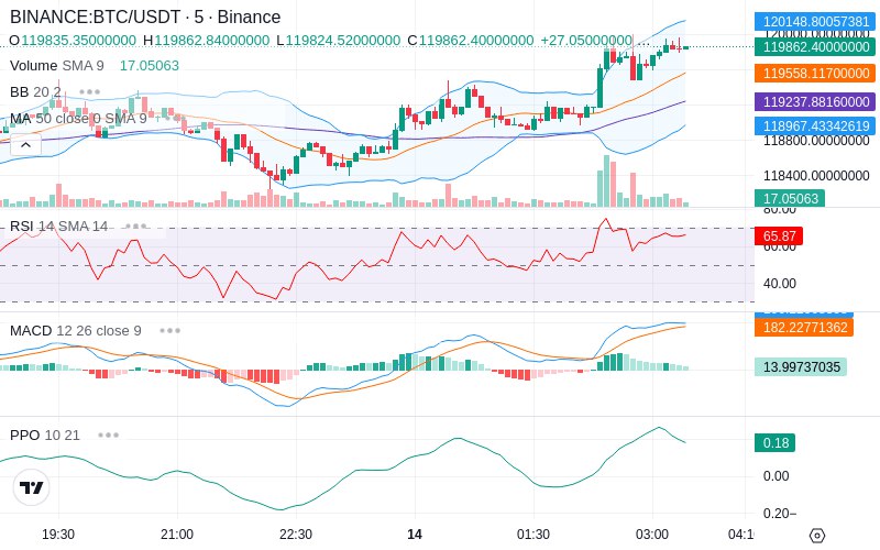 🚀 $TOMI SuperApp early access!