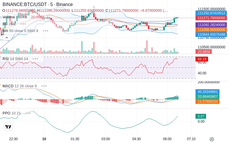 🚀 $TOMI SuperApp early access!