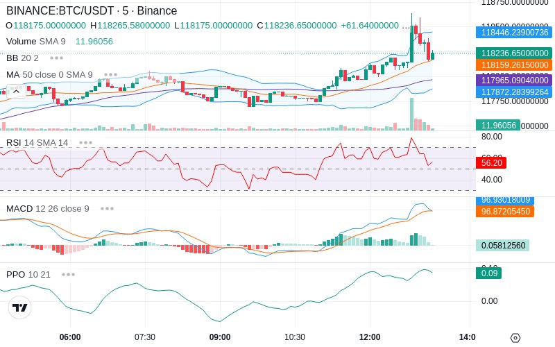 🚀 $TOMI SuperApp early access!