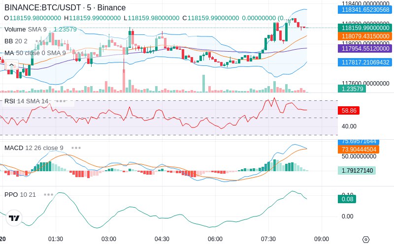 🚀 $TOMI SuperApp early access!