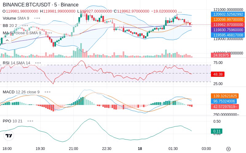 🚀 $TOMI SuperApp early access!