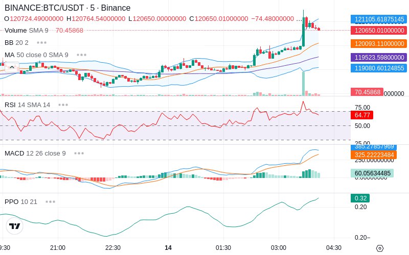 🚀 $TOMI SuperApp early access!