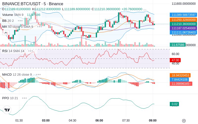 🚀 $TOMI SuperApp early access!
