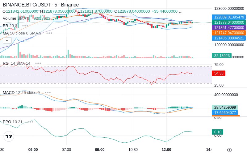 🚀 $TOMI SuperApp early access!