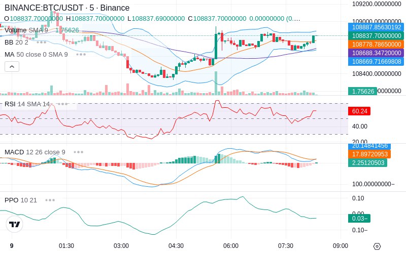 🚀 $TOMI SuperApp early access!