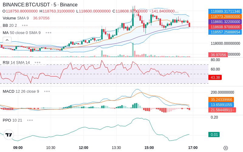 🚀 $TOMI SuperApp early access!