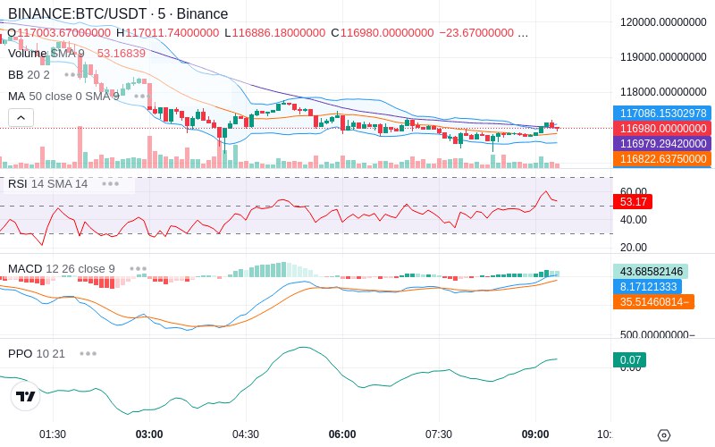 🚀 $TOMI SuperApp early access!