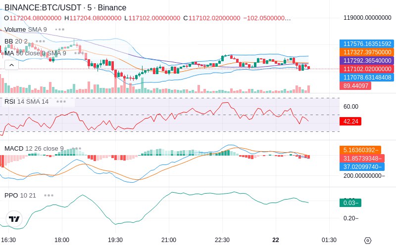 🚀 $TOMI SuperApp early access!