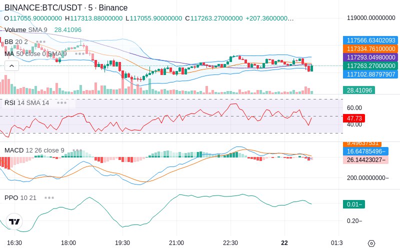 🚀 $TOMI SuperApp early access!