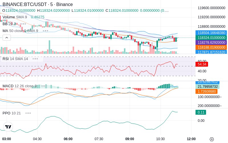 🚀 $TOMI SuperApp early access!