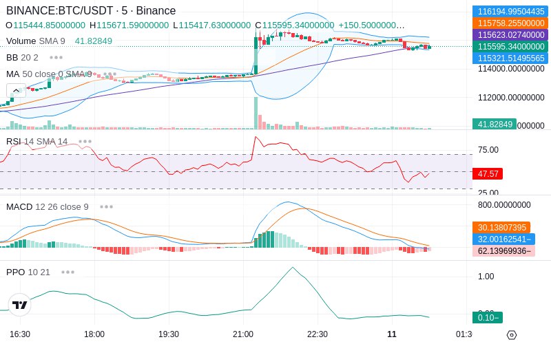 🚀 $TOMI SuperApp early access!