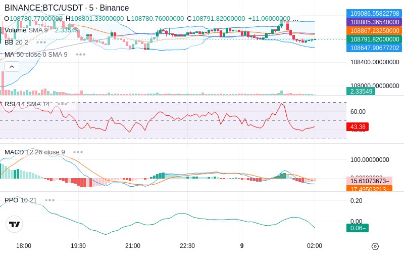 🚀 $TOMI SuperApp early access!