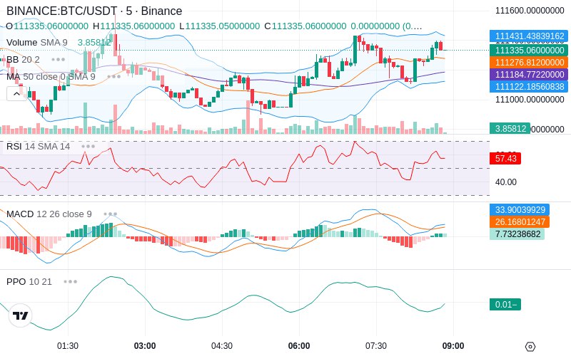 🚀 $TOMI SuperApp early access!