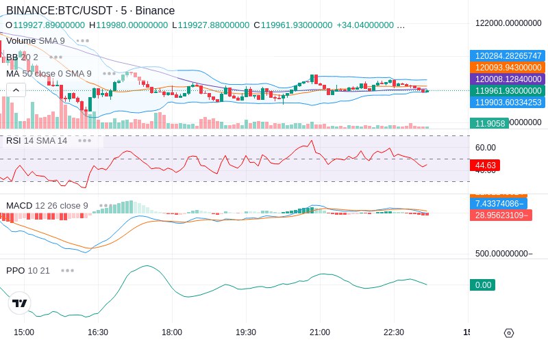 🚀 $TOMI SuperApp early access!