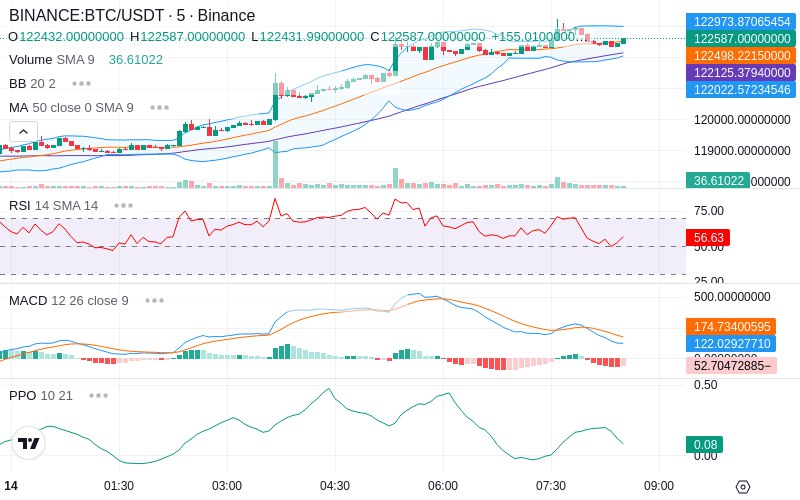 🚀 $TOMI SuperApp early access!