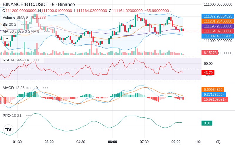 🚀 $TOMI SuperApp early access!