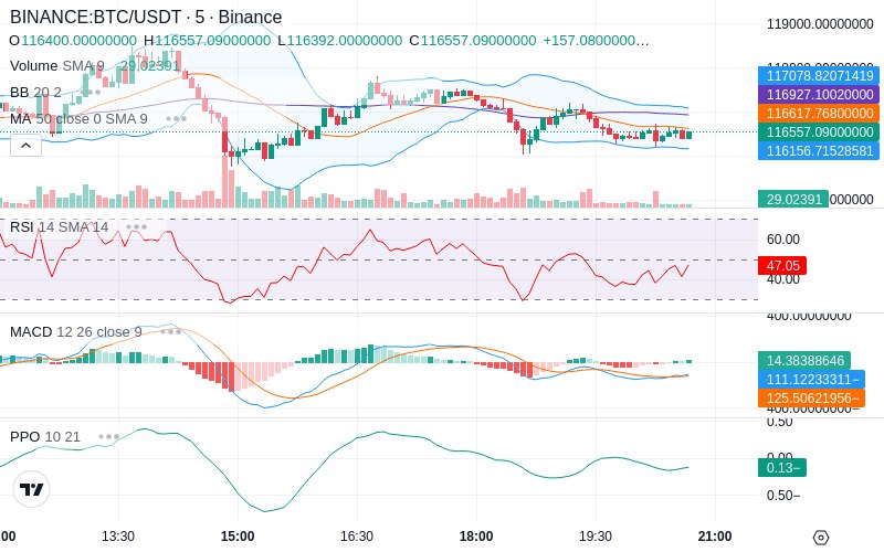 🚀 $TOMI SuperApp early access!