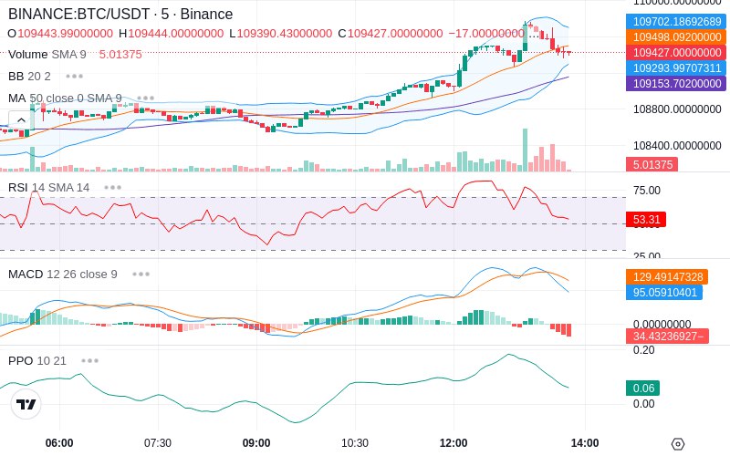 🚀 $TOMI SuperApp early access!
