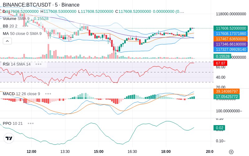 🚀 $TOMI SuperApp early access!