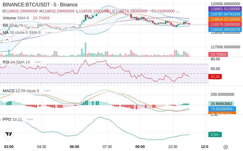 🚀 $TOMI SuperApp early access!