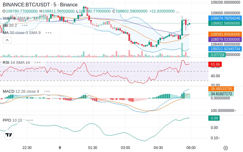🚀 $TOMI SuperApp early access!