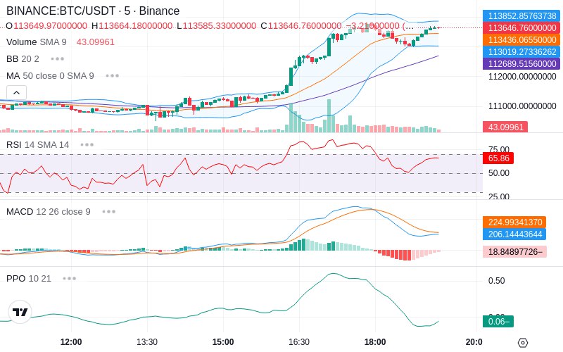 🚀 $TOMI SuperApp early access!