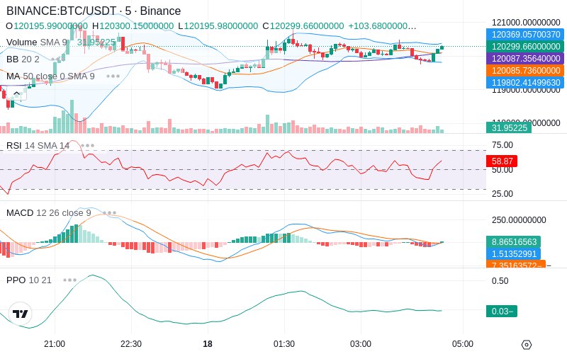 🚀 $TOMI SuperApp early access!