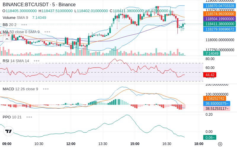🚀 $TOMI SuperApp early access!