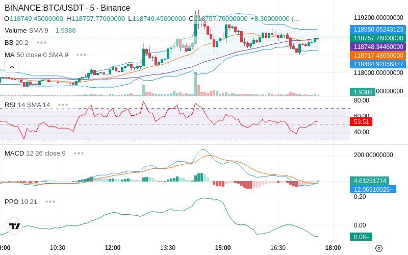 🚀 $TOMI SuperApp early access!