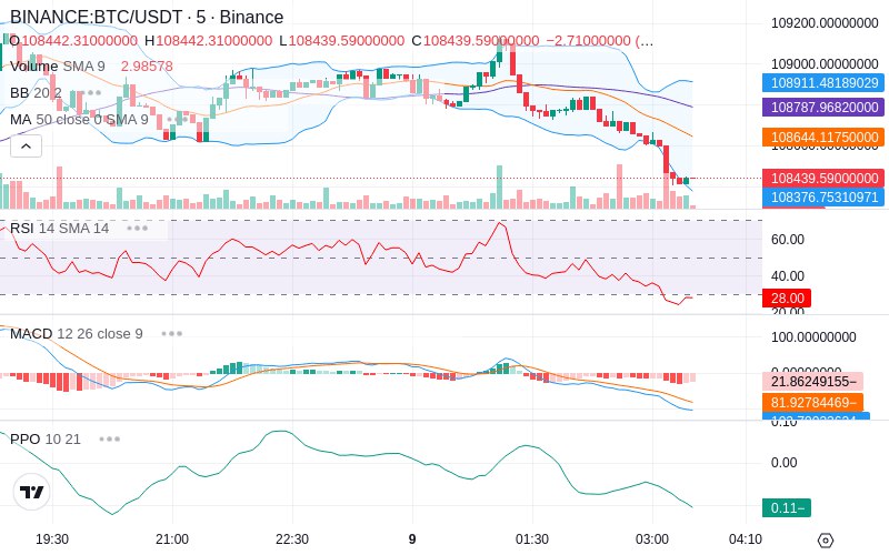 🚀 $TOMI SuperApp early access!