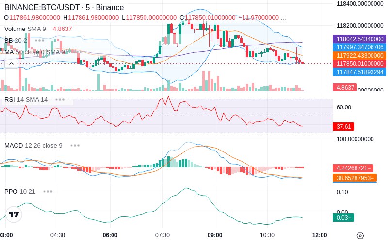 🚀 $TOMI SuperApp early access!
