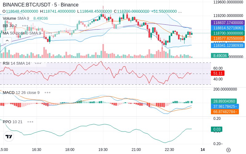 🚀 $TOMI SuperApp early access!
