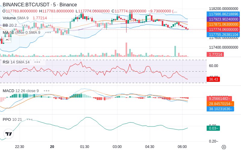 🚀 $TOMI SuperApp early access!