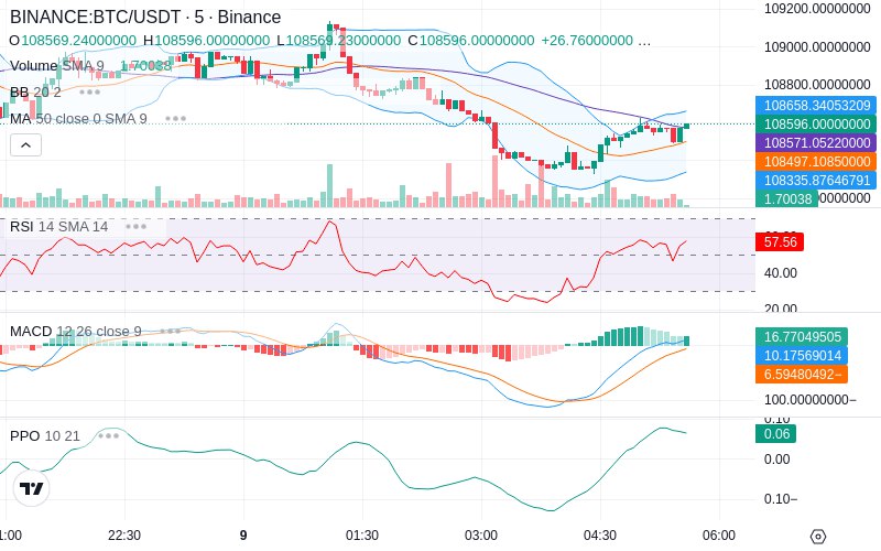🚀 $TOMI SuperApp early access!